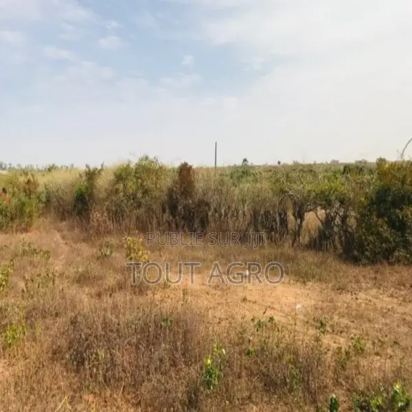 Terrain De 5791 M2 Vers Diass