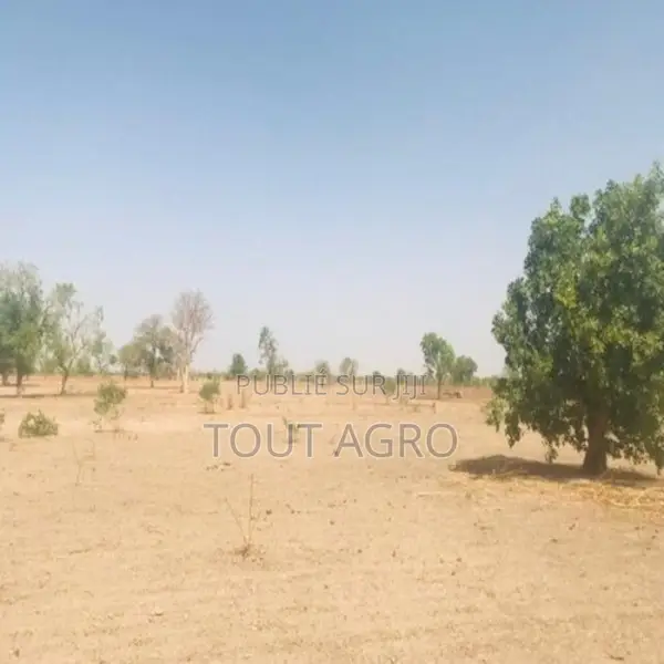Terrain De 6 Hectares Vers Fass Thiéckène