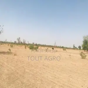 Terrain De 6 Hectares Vers Fass Thiéckène