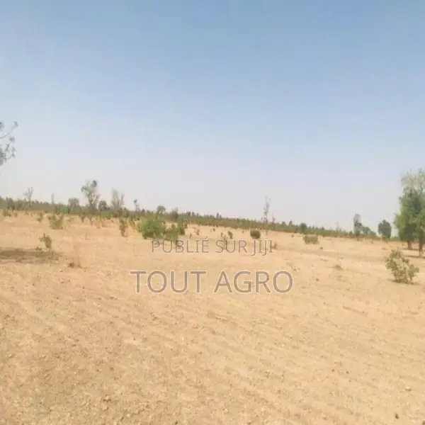 Terrain De 6 Hectares Vers Fass Thiéckène