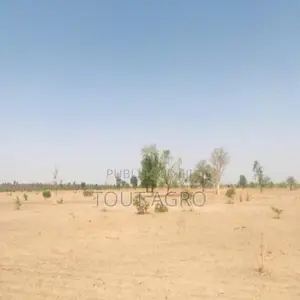 Terrain De 6 Hectares Vers Fass Thiéckène