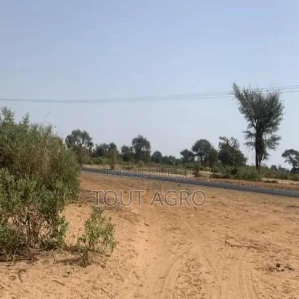 Terrain De 6 Hectares Vers Touba Toul