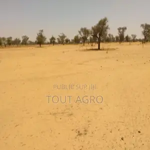 Photo - Terrain De 6,47 Hectares Vers Sagata