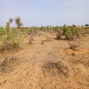 Photo - Terrain De 6,8 Hectares Vers Nguidila