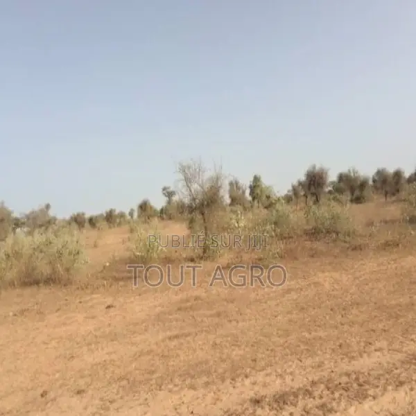 Terrain De 6112 M2 Vers Thiénaba