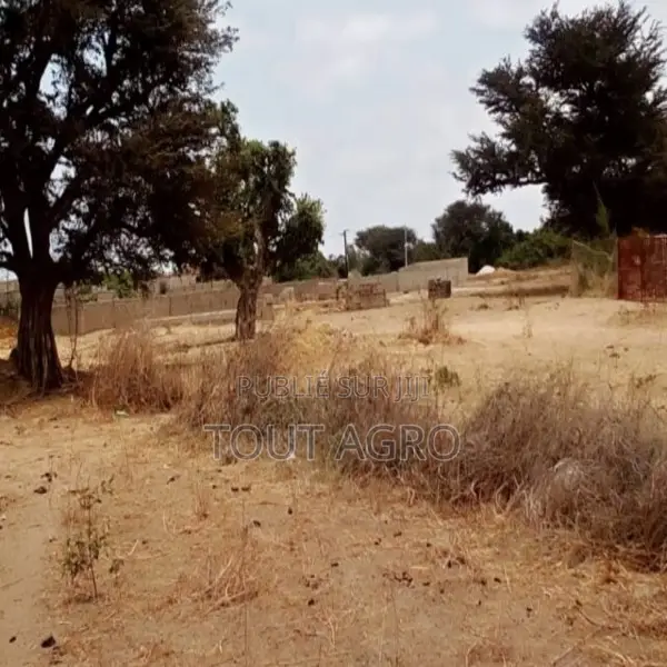 Terrain De 6500 M2 Vers Nguéniéne