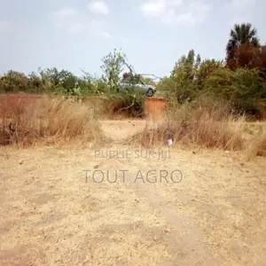 Terrain De 6500 M2 Vers Nguéniéne