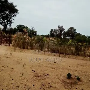 Terrain De 6500 M2 Vers Nguéniéne