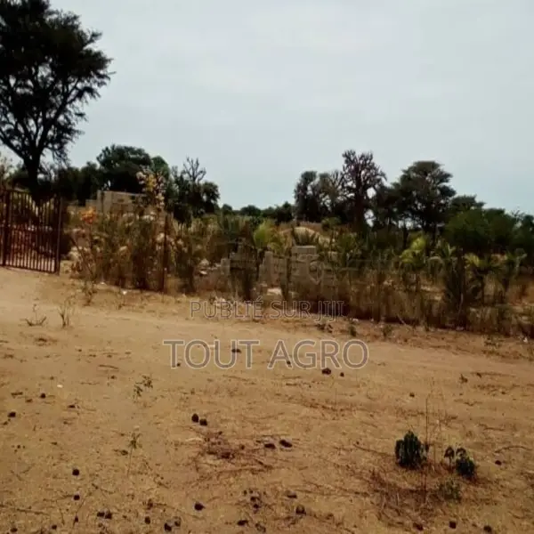 Terrain De 6500 M2 Vers Nguéniéne