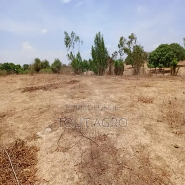 Terrain De 6751 M2 Vers Notto Diobass