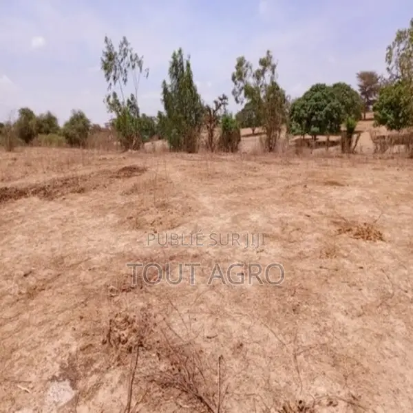 Terrain De 6751 M2 Vers Notto Diobass