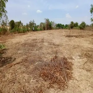 Terrain De 6751 M2 Vers Notto Diobass