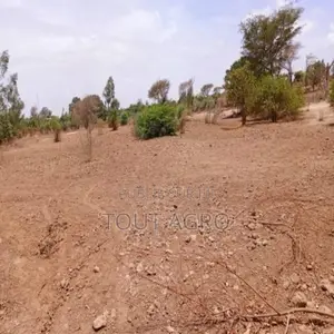 Photo - Terrain De 6840 Vers Notto Diobass
