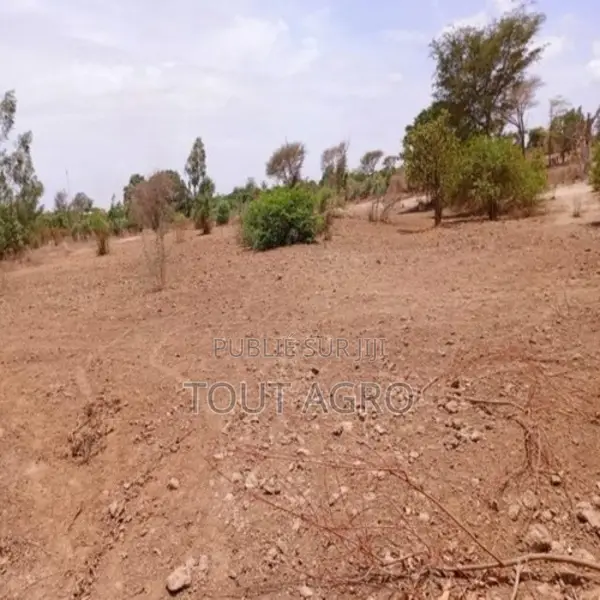 Terrain De 6840 Vers Notto Diobass