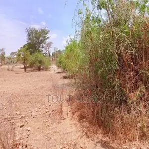 Terrain De 6840 Vers Notto Diobass