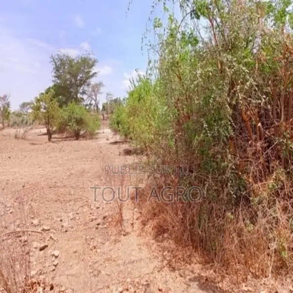 Terrain De 6840 Vers Notto Diobass