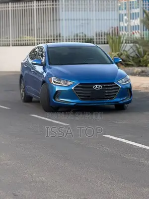 Hyundai Elantra 2017 Bleu