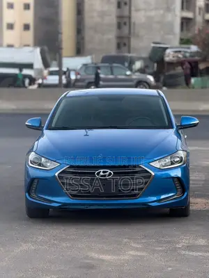 Hyundai Elantra 2017 Bleu