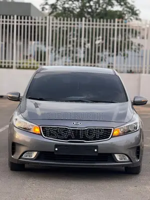 Photo - Kia K3000 2017 Gris