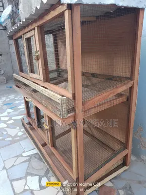 Photo - Case Pour l'Élevage De Cailles Et De Poulet