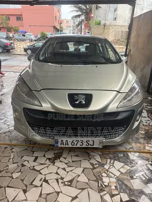 Photo - PEUGEOT 308 2008 Beige