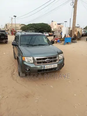 Photo - Ford Escape 2011 Gris
