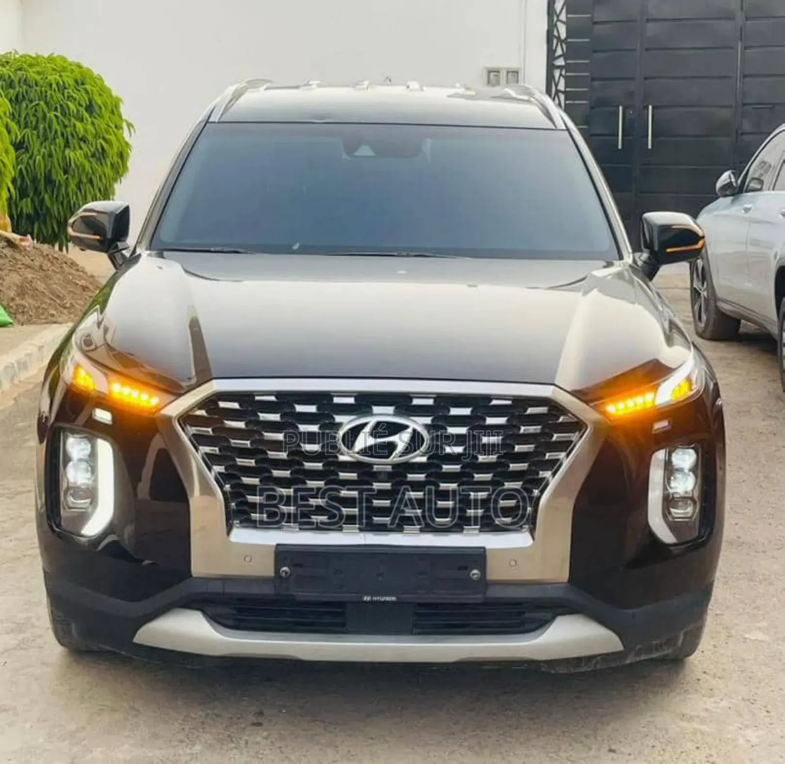 Hyundai Palissade 2019 Noir