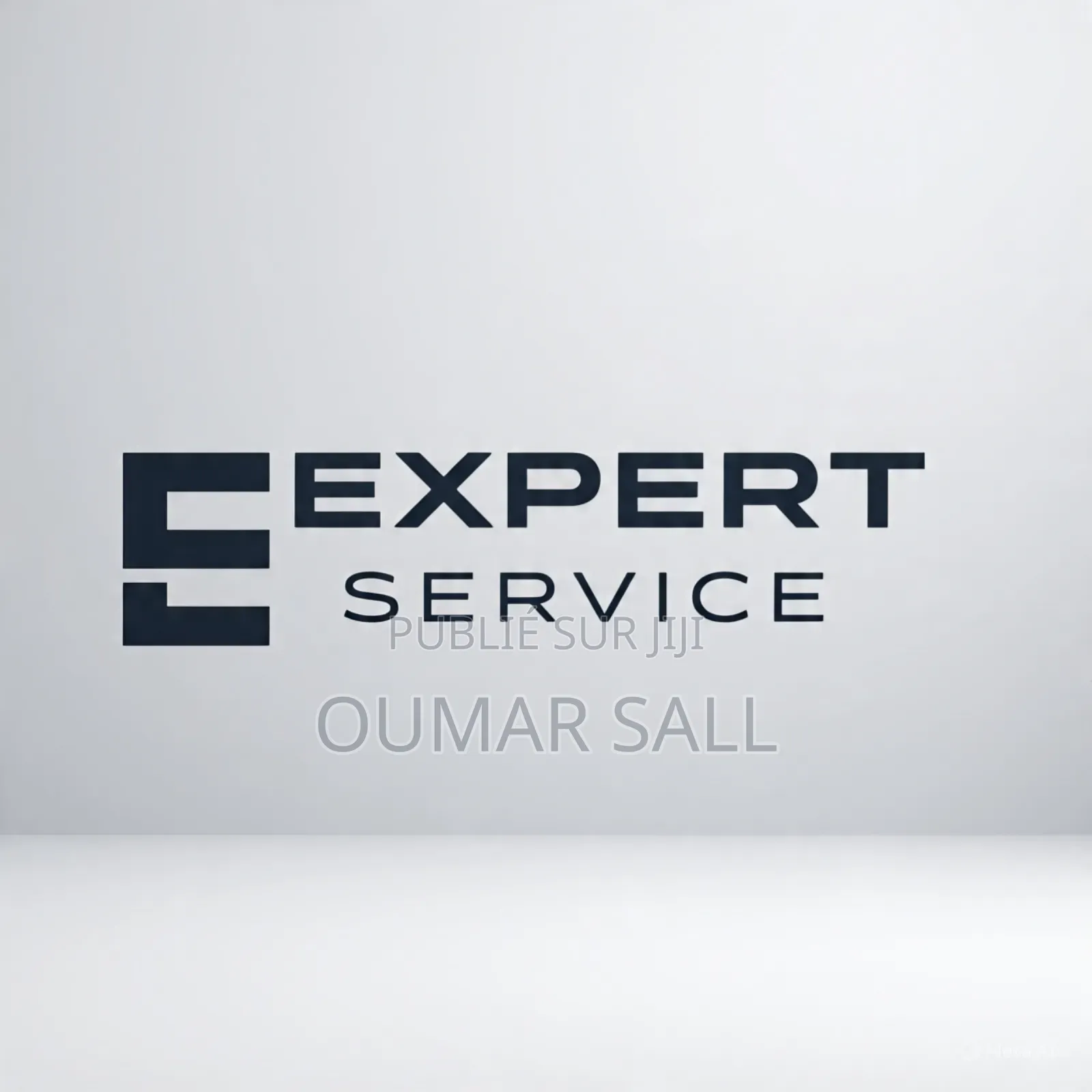Expert Service
