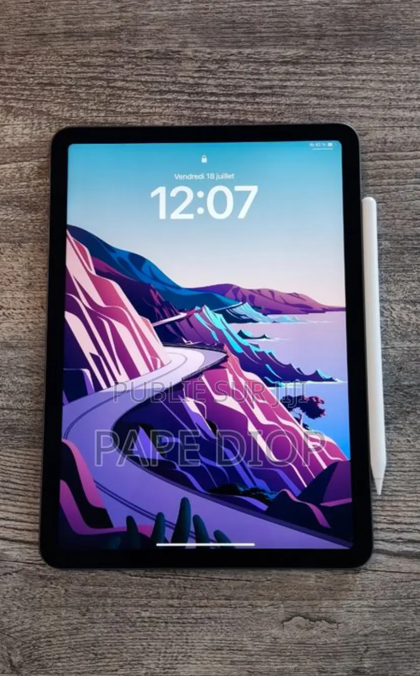 Pomme iPad 10.2 (2020) Wi-Fi 256 GO Gris