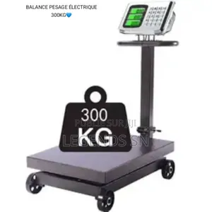 Balance Pesage Électrique 300kg