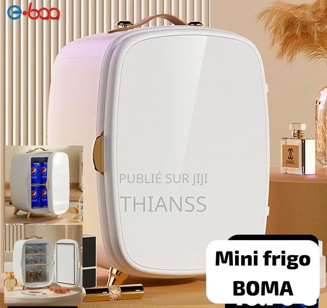 Mini Frigo Vip Pour Voiture