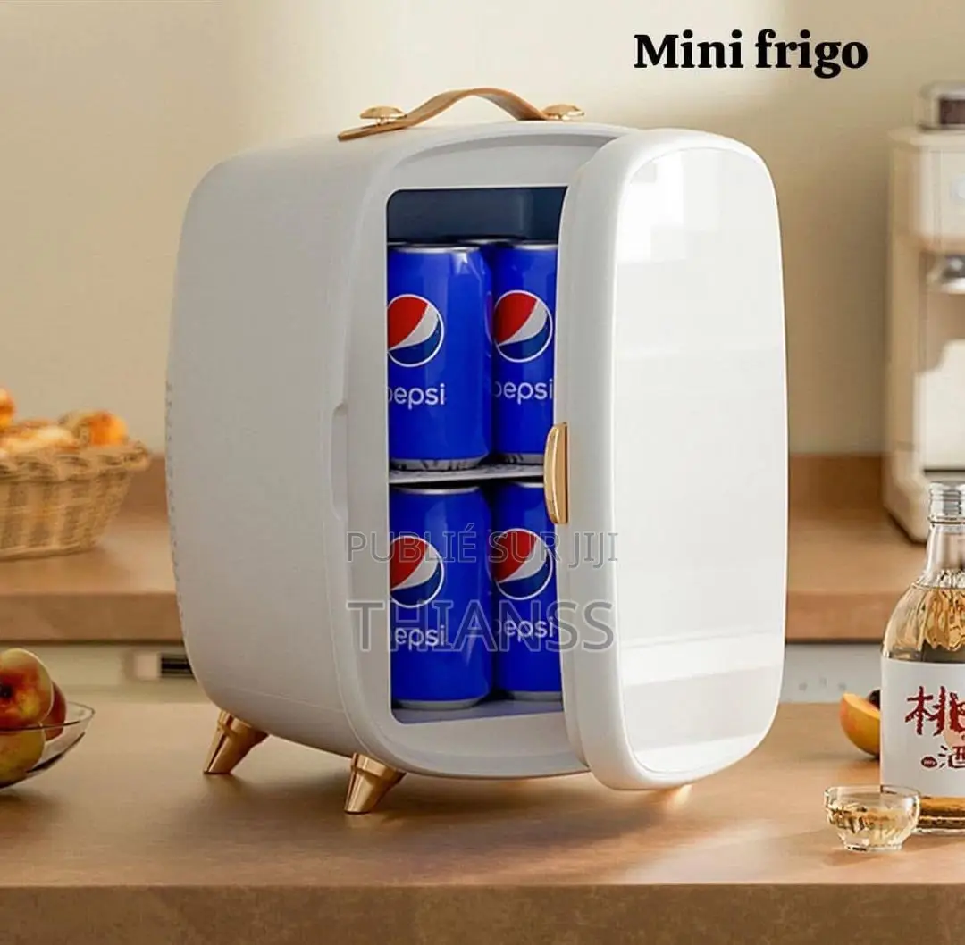 Mini Frigo Vip Pour Voiture