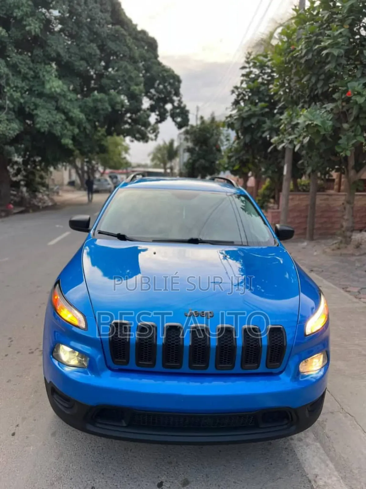 Jeep Cherokee 2017 Bleu