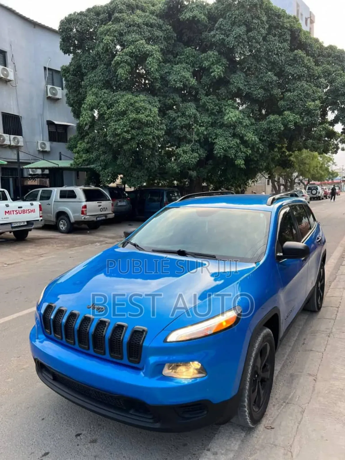 Jeep Cherokee 2017 Bleu