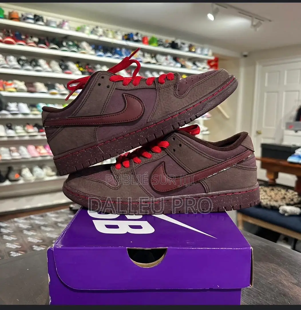 Nike Dunk Couleur Rare Et Confortable