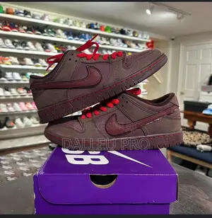 Nike Dunk Couleur Rare Et Confortable