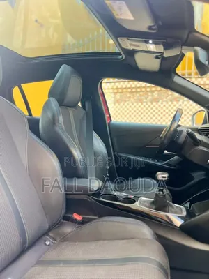 PEUGEOT 2008 2019 Rouge