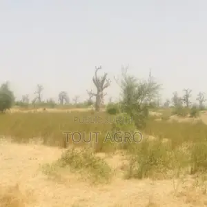 Terrain De 7 Hectares Vers Nguéniène