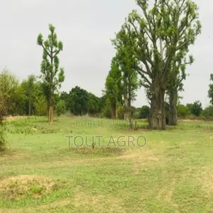 Photo - Terrain De 7007 M2 Vers Diender