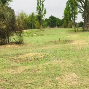 Terrain De 7007 M2 Vers Diender