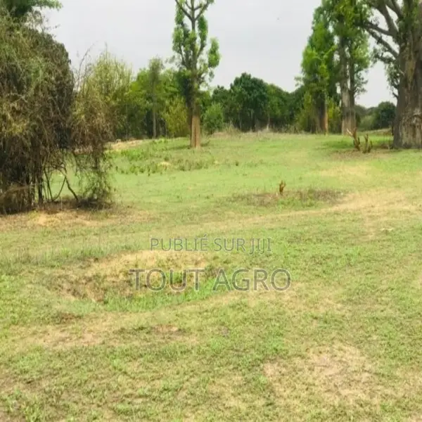 Terrain De 7007 M2 Vers Diender