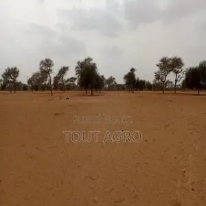 Terrain De 7130 M2 Vers Touba Toul