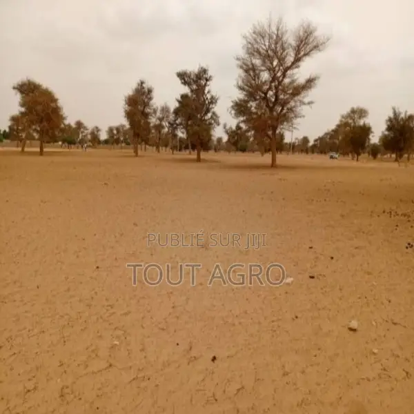 Terrain De 7130 M2 Vers Touba Toul