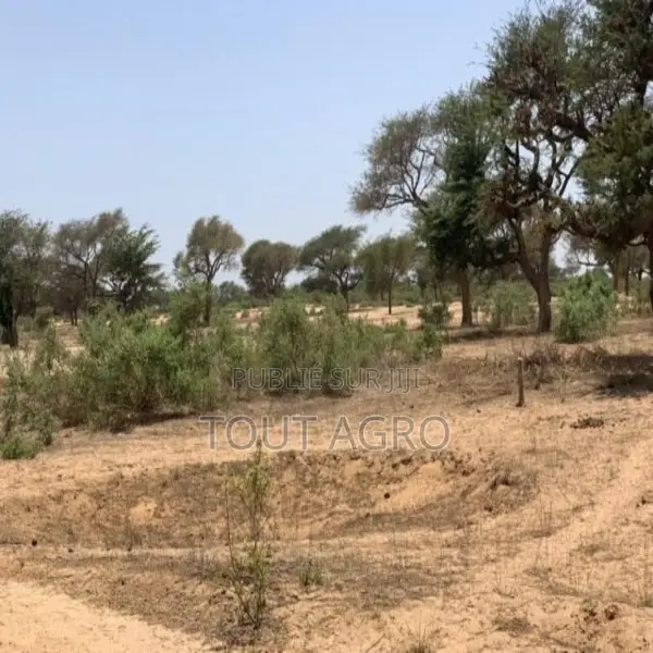 Terrain De 7842 M2 Vers Notto Diobass