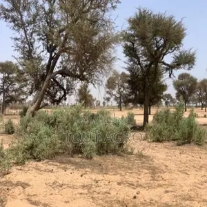 Terrain De 7842 M2 Vers Notto Diobass