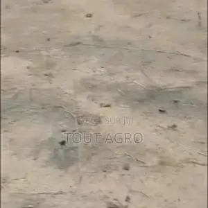 Photo - Terrain De 7910 M2 Vers Yenne