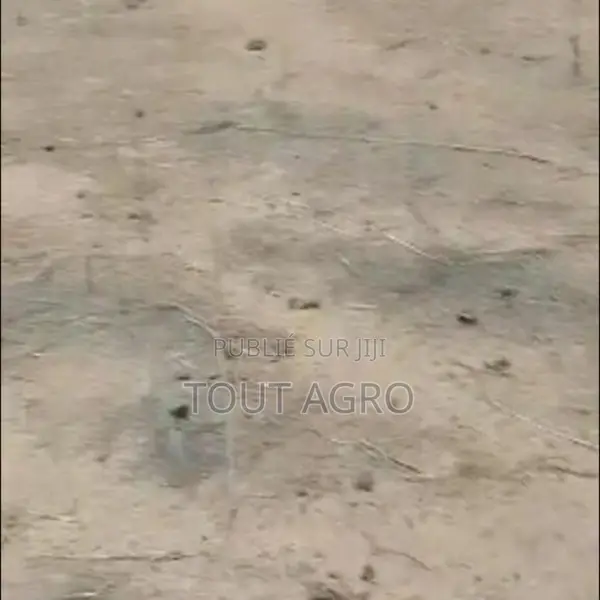 Terrain De 7910 M2 Vers Yenne