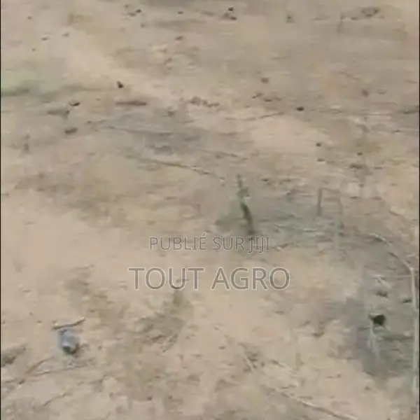 Terrain De 7910 M2 Vers Yenne