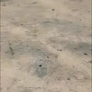 Terrain De 7910 M2 Vers Yenne