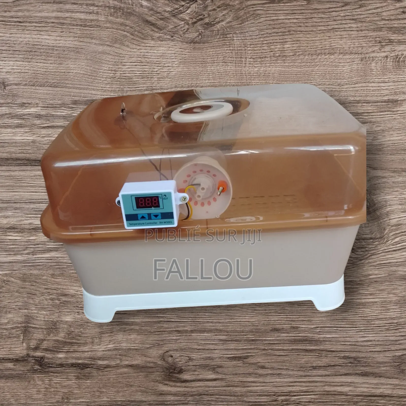 Couveuse Manuel 55 Œuf Disponible